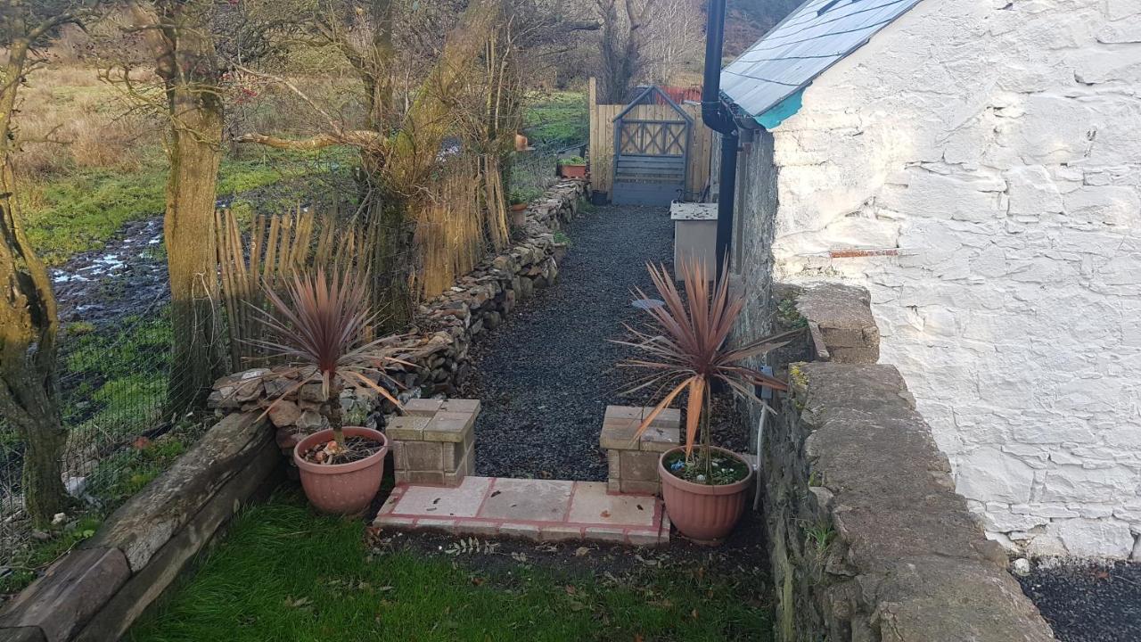 Cosy Cottage On The Causeway Coast And Glens Ballycastle Exteriör bild