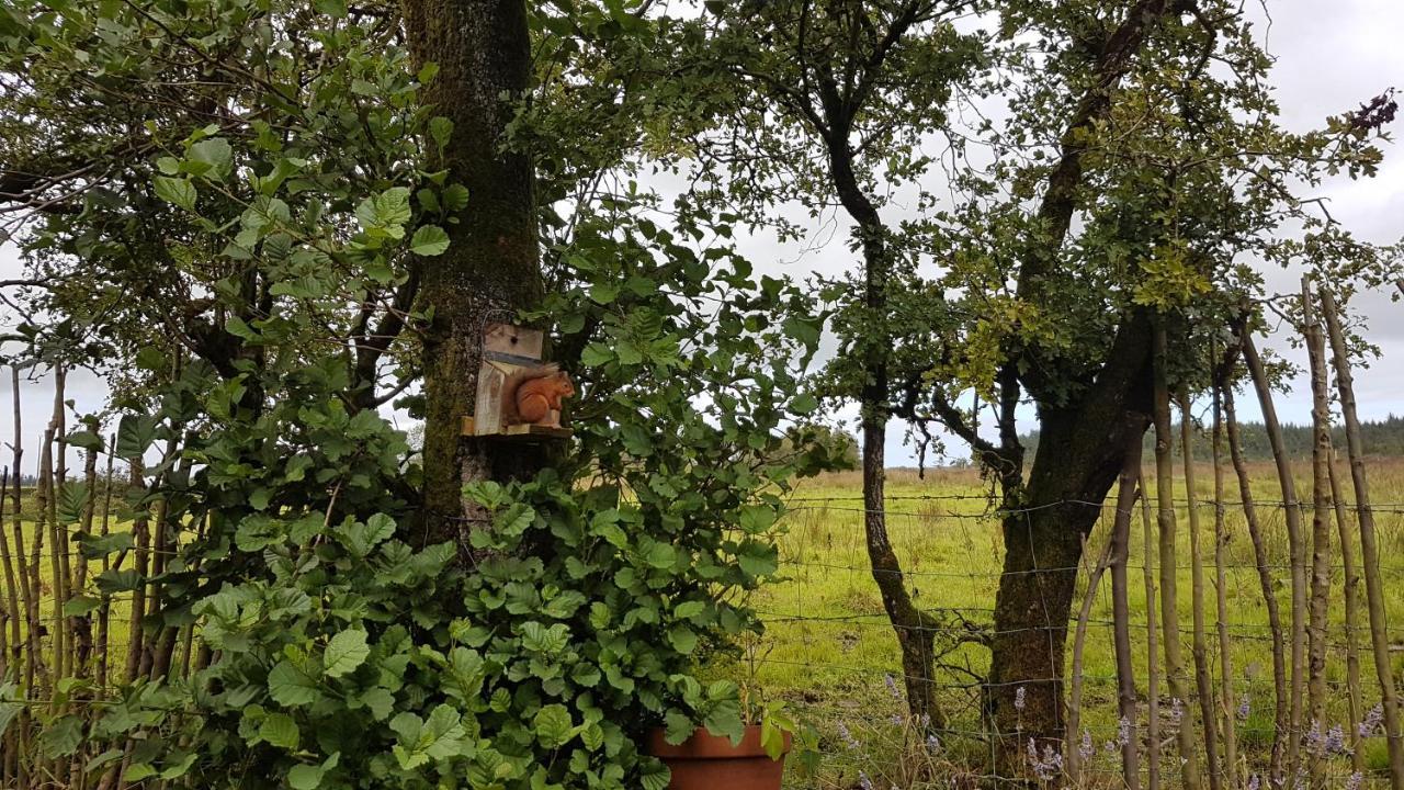 Cosy Cottage On The Causeway Coast And Glens Ballycastle Exteriör bild