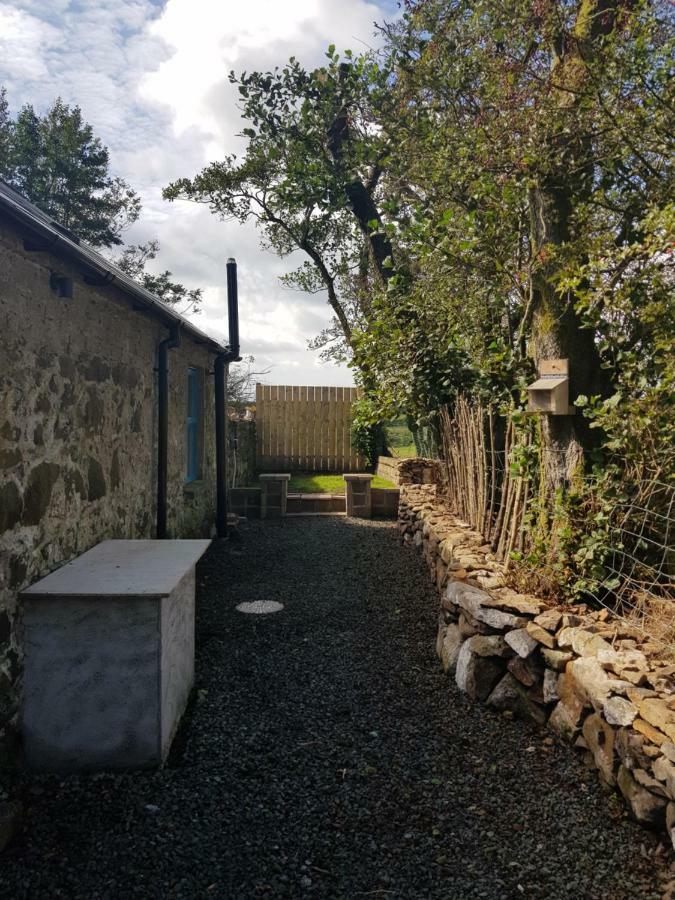 Cosy Cottage On The Causeway Coast And Glens Ballycastle Exteriör bild